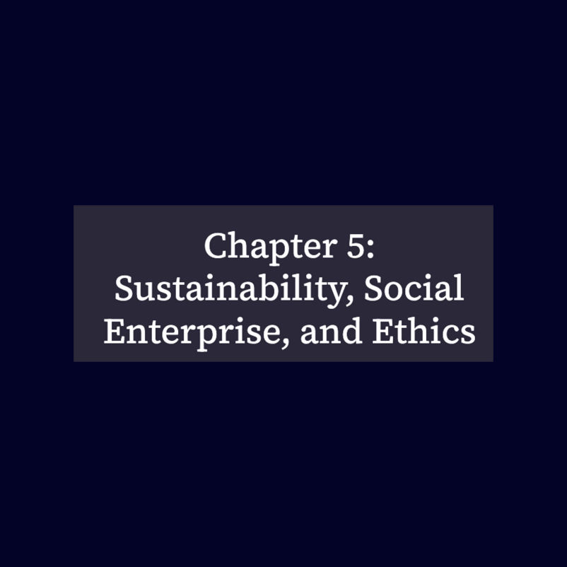 Chapter 5: Sustainability, Social Enterprise, and Ethics